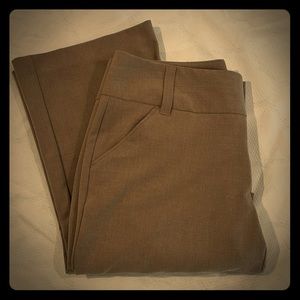 Daisy Fuentes tan dress pant